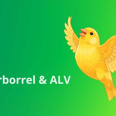 ALV + zomerborrel